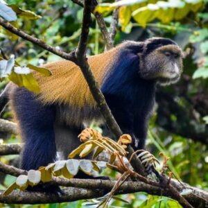 4-Day Cape Town Explorer Tour – South Africa