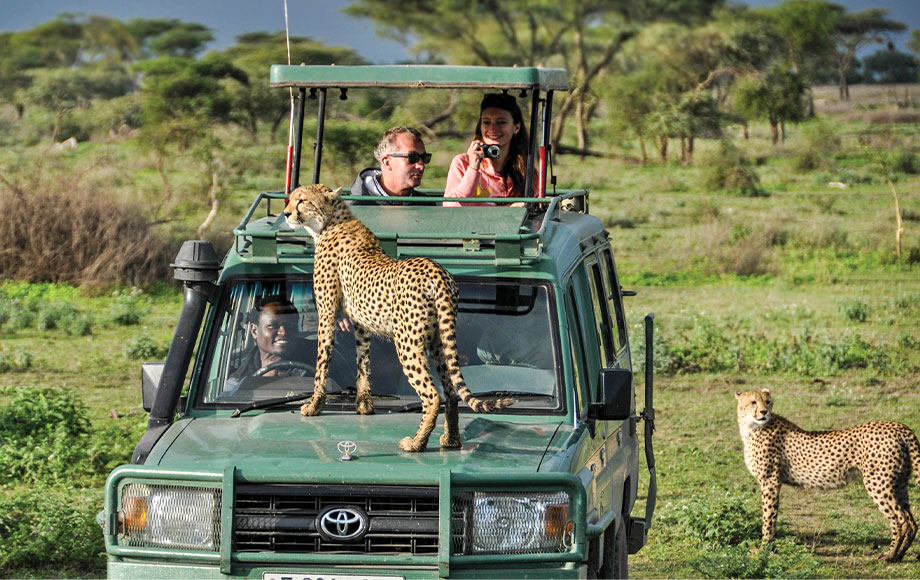 Lemala-Special-Cheetah-Tanzania