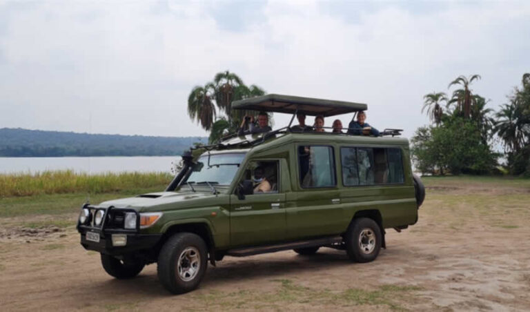 safari-car