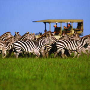 Akagera national park