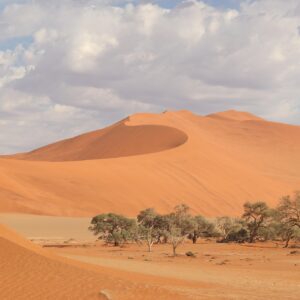 4-Day Discover Namibia Desert & Dunes Tour