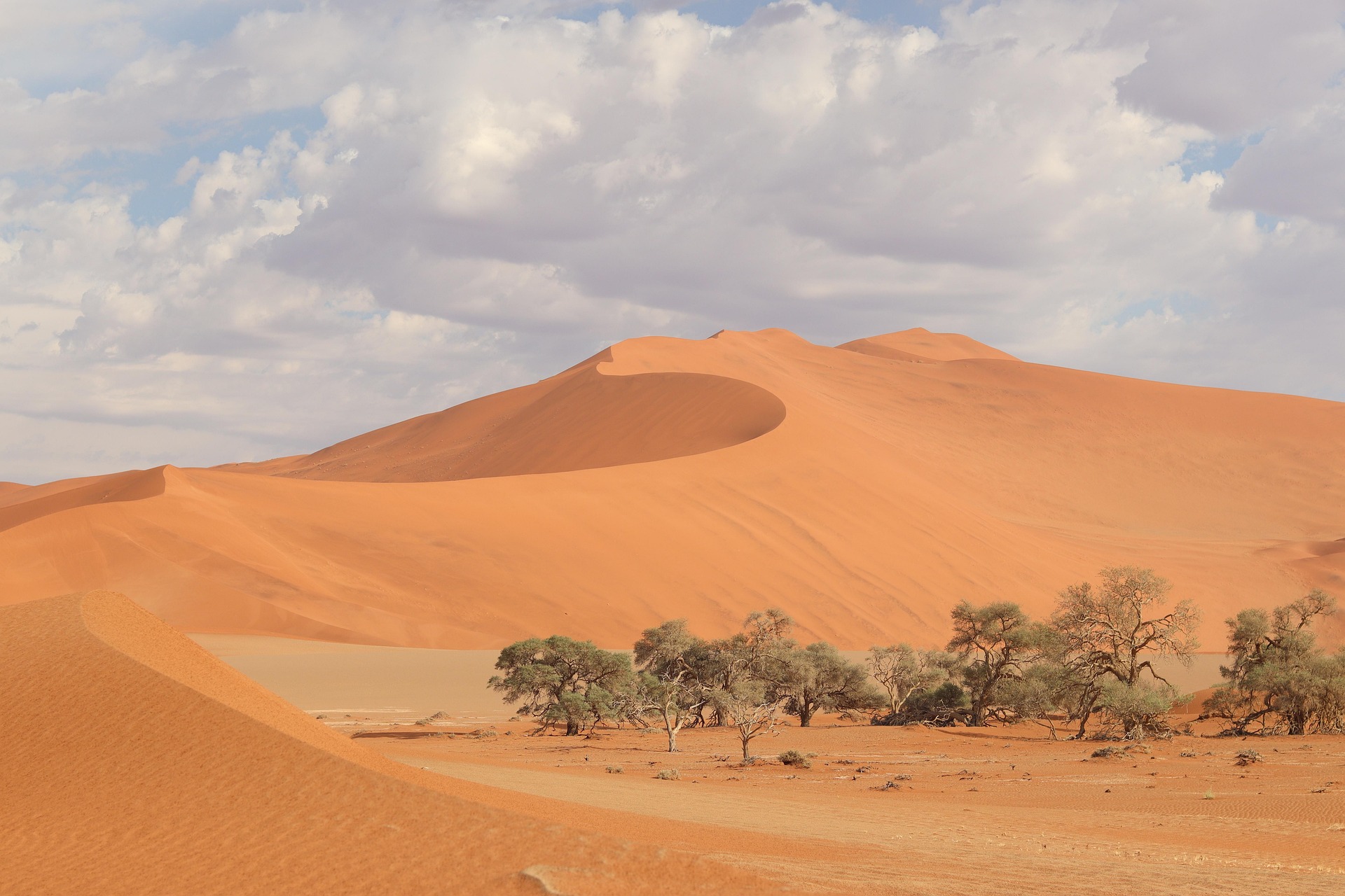 4-Day Discover Namibia Desert & Dunes Tour