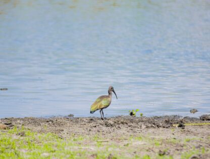 WhatsApp Image 2025-11-12 at 7.48.02 PM (2)