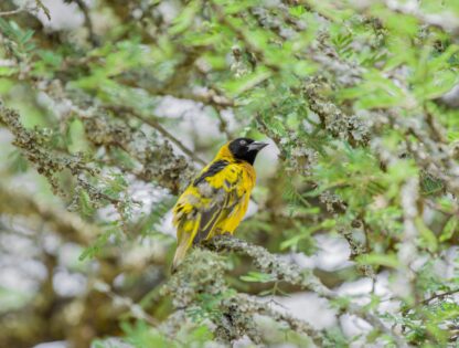 WhatsApp Image 2025-11-12 at 7.48.02 PM (3)