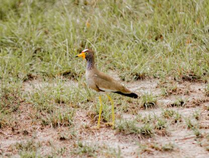 WhatsApp Image 2025-11-12 at 7.48.02 PM