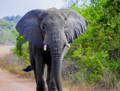 WhatsApp Image 2025-11-12 at 7.48.03 PM