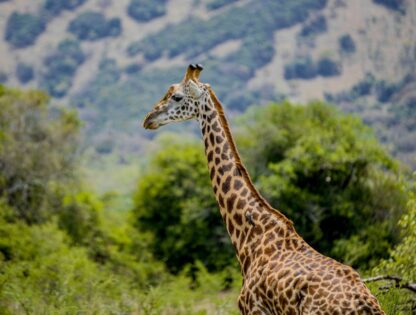 WhatsApp Image 2025-11-12 at 7.48.04 PM