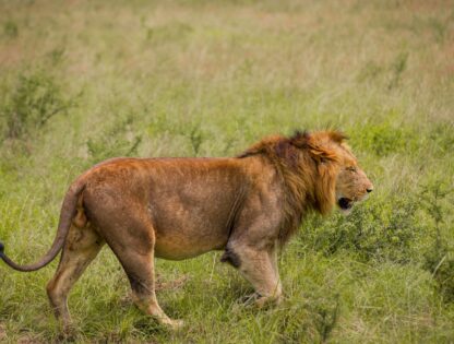 WhatsApp Image 2025-11-12 at 7.48.05 PM (1)