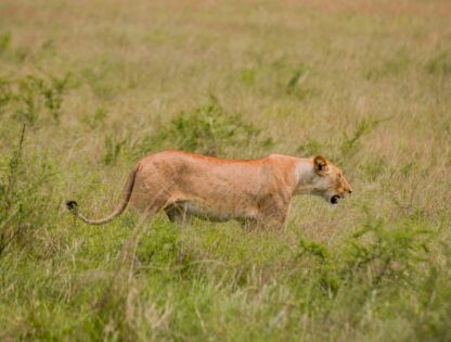 WhatsApp Image 2025-11-12 at 7.48.05 PM (2)