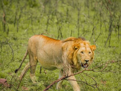 WhatsApp Image 2025-11-12 at 7.48.05 PM