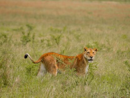 WhatsApp Image 2025-11-12 at 7.48.06 PM (1)