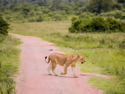 WhatsApp Image 2025-11-12 at 7.48.06 PM