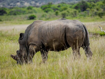 WhatsApp Image 2025-11-12 at 7.48.07 PM