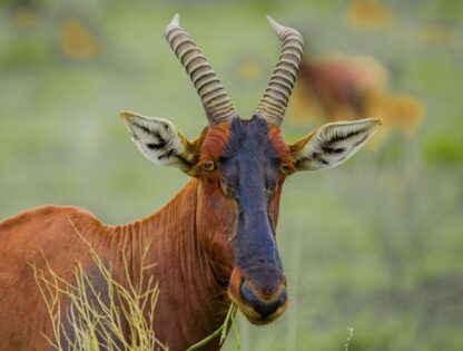 WhatsApp Image 2025-11-12 at 7.51.29 PM (1)