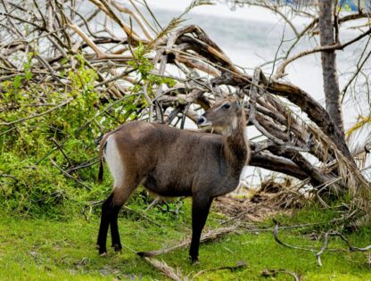 WhatsApp Image 2025-11-12 at 7.51.30 PM (1)