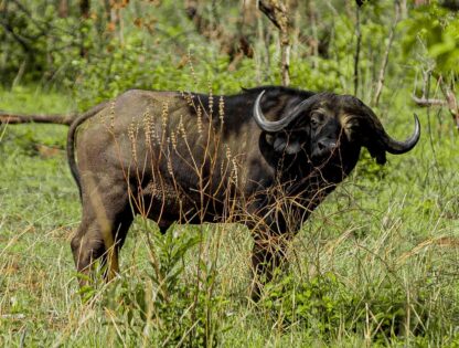 WhatsApp Image 2025-11-12 at 7.51.30 PM (2)