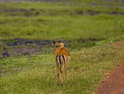 WhatsApp Image 2025-11-12 at 7.51.30 PM