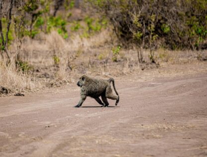 WhatsApp Image 2025-11-12 at 7.51.31 PM